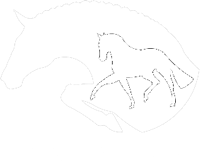 Reithalle My Melodin